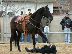 Výstavy Zemědělec a Jaro s koňmi v Lysé přilákaly tisíce lidí