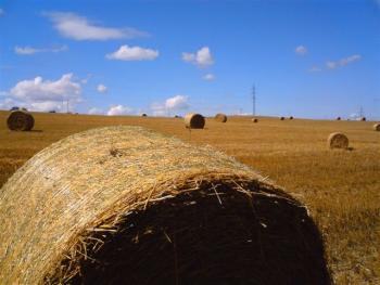 Zemědělské půdy ubývá, farmářům se to nelíbí - zvětšit fotografii