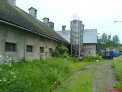 Za úhyn 237 prasat v Brzkově dostal farmář stotisícové sankce - zvětšit fotografii
