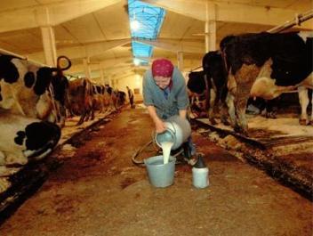 Gandalovič: Světové ceny mléka jsou nejnižší od roku 2003 - zvětšit fotografii