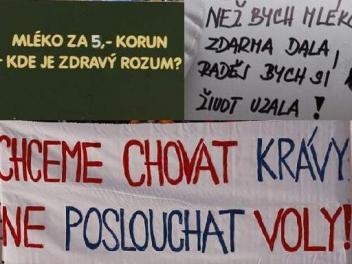 Demonstranti před hotelem Marriott rozlili mléko a vysypali obilí - zvětšit fotografii