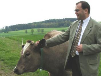 Nízké ceny mléka nutí zemědělce na Klatovsku snižovat stavy krav - zvětšit fotografii