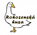 HUSÍ VEJCE