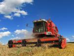 Massey Ferguson 38