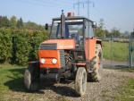 Zetor 8011