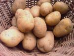 Brambory konzumní 4,5Kč/Kg nebo výměna