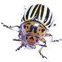 Insekticidy. herbicidy. funhicidy. levne!!!