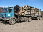 Lesovoz Tatra 815  + Jonsered Titan +100  + Lemex TR 18
