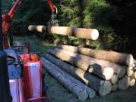 yanmar fx 22 vyvážečka kranman 1800