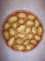 Brambory na uskladnění