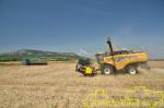 New Holland CX 8080 AGR SL