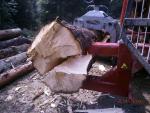 Log splitter Holzspalter