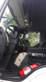 Renault Premium R460.19 T4x2 EEV