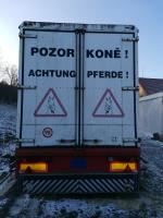 IVECO ML 120 E28/P + BSS NL 12.06.08-B